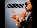 Shaggy   Strength of a Woman