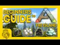 BEGINNERS GUIDE To The Island NOOB To PRO In 8 Mins ARK Survival Evolved