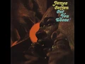 Honest I Do - James Cotton