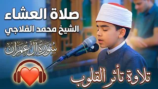 تلاوة تأثر القلوب     صلاة العشاء للشيخ محمد القلاجي   سورة آل  عمران  راحة نفسية  دندنها