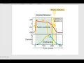 PhysioEx6