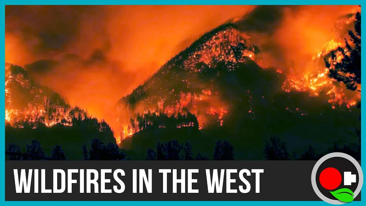 Wildland Fire Basics + How to Think About Them!