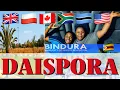 Download Lagu (DAISPORA IMPORTANT MESSAGE !! )// TRIP TO BINDURA