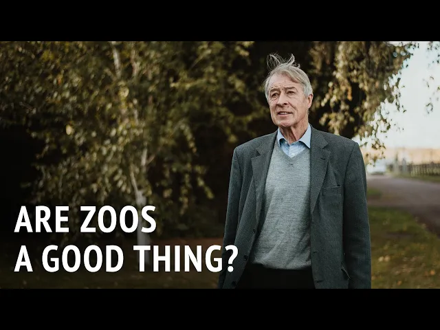 Are Zoos A Good Thing? | Prof. Donald Broom