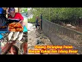 Download Lagu Luar Biasa Pasang Perangkap Kali Ini Ikan Kakap nya Besar Besar Jakpot Banyak Udang Besar