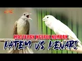 Lagu MASTERAN KAPAS TEMBAK VS KENARI SPESIAL MATERI NGEROL TEMBAK