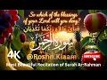 MOST BEAUTIFUL Recitation That Will Touch Your Soul: Surah Ar-Rahman | Soft Voice