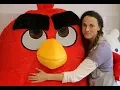 Download Lagu Angry Birds mascot costume I made and putting on