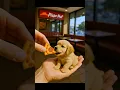 Download Lagu Schattige mini-puppy's Mukbang 🐶🍕 #pixverse #pixverseai #teacup #schattig #puppy