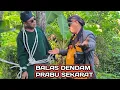 Download Lagu 🔴 TERBARU BANG REY LAMPUNG BALAS DENDAM IKAT PRABU HINGGA T3WAS