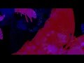 Revers Gagnant - helpless (CONFINED IN THE ROOM DAY 4)
