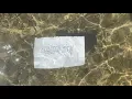 Angus Maude - Balloon Boy (Lyric Video)
