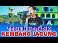 Kembang jagung ( tebilin merarik ) sasak viral terbaru aldeva 02 voc : yan suling