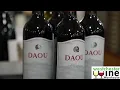 Daou Vineyards