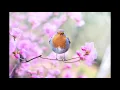 Mathame - Skywalking (Original Mix)