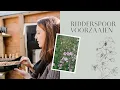 Download Lagu Ridderspoor voorzaaien - MAY \u0026 JUNE