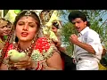 Download Lagu दिल जंगली कबूतर HD - कहर - अरमान कोहली, रंभा - उदित नारायण, साधना सरगम - Old Is Gold