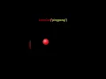 After Effects - loopOut Expression