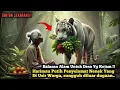 Download Lagu Dianggap Gila! Nenek Miskin Ini Diusir Warga Desa, Lihat Apa yang Terjadi di Hutan..