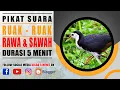 PIKAT SUARA BURUNG RUAK RUAK SAWAH \u0026 RAWA