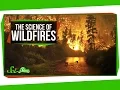 Download Lagu The Science of Wildfires MP3