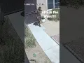 UPS Sucks