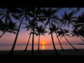 Tranquility Relax Palm Cove Palm Cove Australia