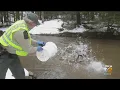 Pa Fish And Boat Commission Stocking Trout Ahead Of Opening Day