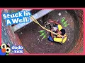 Dog Falls In Well And Needs A Whole Team Of Rescuers To Get Out Dodo Kids Rescued