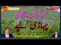 Download Lagu Pahari Mahiye  ||Syed Iqbal Malangami || Old Rare  Pahari Tappy || Rajouri Online