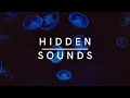 CamelPhat - Silenced (Argy Remix)