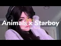 Lagu Animals x Starboy (lyrics) (speedup) (tiktok remix)