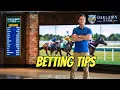 How to Win at Oaklawn Best Handicapping Tips