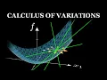 The calculus of variations and the weak formulation