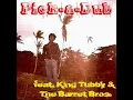 Pick - A-Dub (feat. Soul Syndicate Band) - King Tubby & The Barrett Bros.