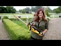 Trimming Boxwoods Dewalt 20v Hedge Trimmer Review Garden Answer