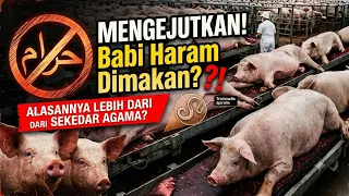BUKAN CUMA SOAL AGAMA! INI FAKTA NYATA KENAPA DAGING BABI SANGAT BERBAHAYA!