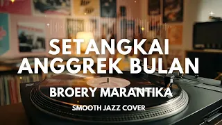 setangkai anggrek bulan broery marantika smooth jazz cover by the vinyl
