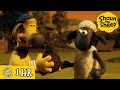 Download Lagu Shaun the Sheep 🐑 A Nutty Discovery 🥥🔎 Full Episodes Compilation [1 hour]