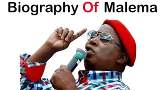 biography of julius sello malema origin education career controversies family children