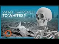 Why the World s White Population is Going EXTINCT