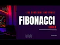 Fibonacci Series in Java Java Program to Print Fibonacci Numbers