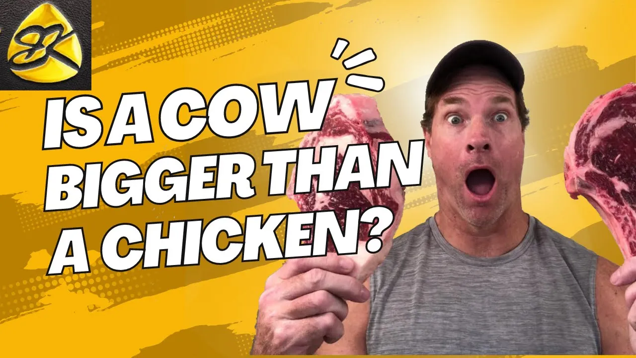 Shawn Baker Vs Vegan Imbeciles...