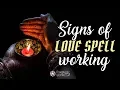 Signs your Spell is Manifesting How to Tell if a Love Spell is Working