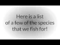 Pensacola Fishing Charters Charter Fishing 850-485-5940