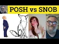 Posh or Snobbish - Posh Meaning