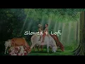 Download Lagu Are Dwarpalo Kanhaiya Se Kehdo - Slowed + Lofi