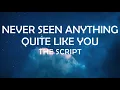 Download Lagu THE SCRIPT - NEVER SEEN ANYTHING QUITE LIKE YOU LYRICS
