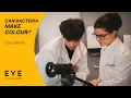 Can Bacteria Make Colour Sustainable Dyeing at Colorifix Eye Film Academy