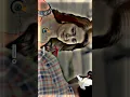 Download Lagu Afsos karish tu||Rakesh Barot status